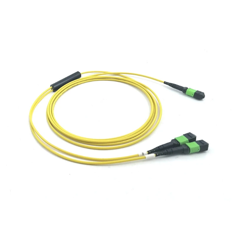 SM MPO-16 Fiber to 2 x MPO 12-Fiber Trunk Patch Cord 5M Polarity B
