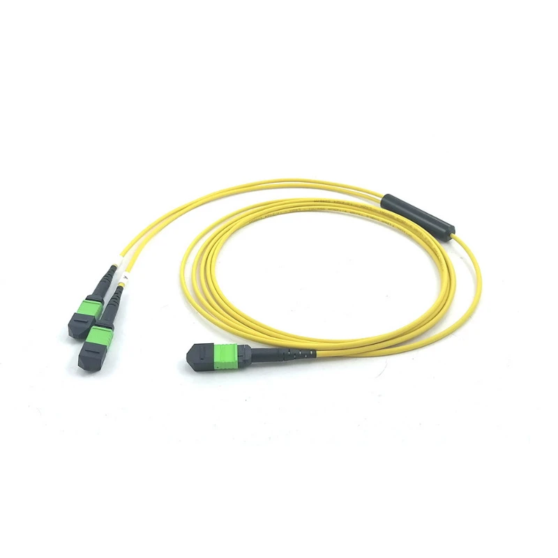 SM MPO-16 Fiber to 2 x MPO 12-Fiber Trunk Patch Cord 5M Polarity B