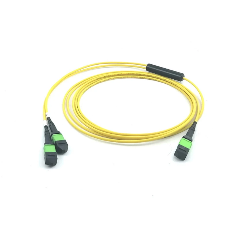 SM MPO-16 Fiber to 2 x MPO 12-Fiber Trunk Patch Cord 5M Polarity B