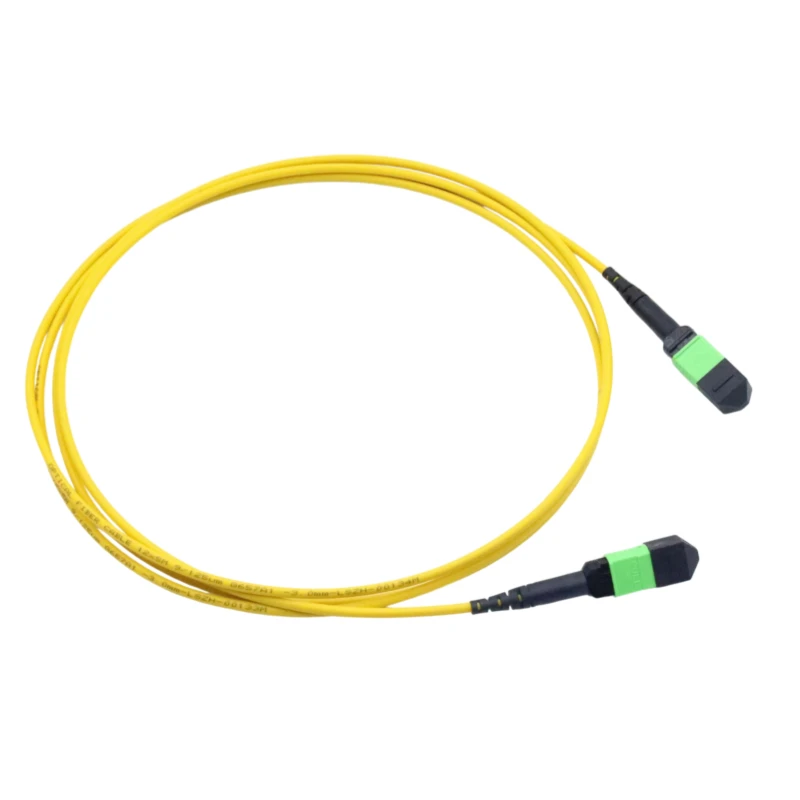 Single Mode 12 Fiber MPO/MTP Trunk Cable Patch Cord Type B 1M