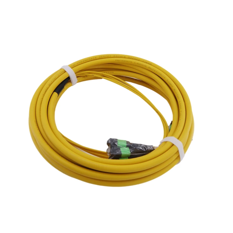 SM 72 Fiber MPO/MTP Female Trunk Cable Type B 30M