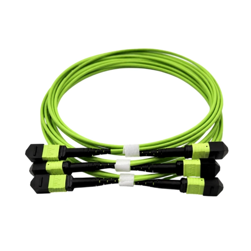 MTP-12 UPC (Female) to MTP-12 UPC (Female), 12 Fibers, Multimode (OM5), 1m (3ft) MTP Jumper