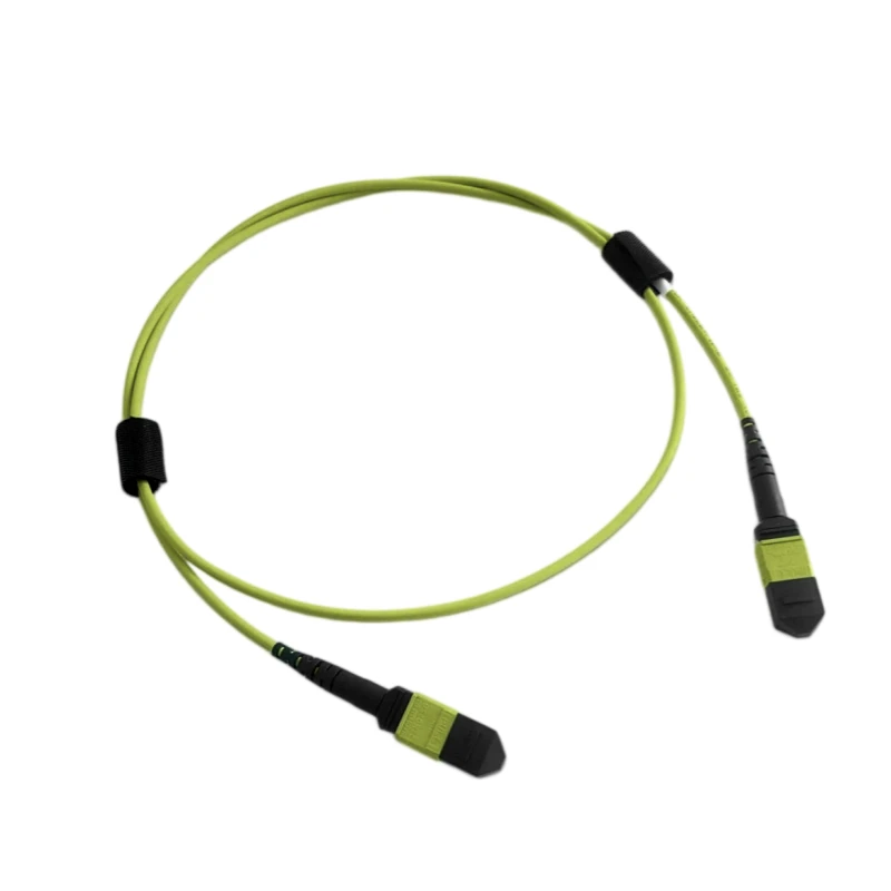 MTP-12 UPC (Female) to MTP-12 UPC (Female), 12 Fibers, Multimode (OM5), 1m (3ft) MTP Jumper